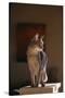 Abyssinian Blue Cat on Pedestal-DLILLC-Stretched Canvas