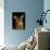 Abyssinian Cat, Portrait-Lynn M^ Stone-Photographic Print displayed on a wall
