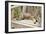 Abyssinian Cat Sleeping on Wooden Garden Bench-null-Framed Photographic Print
