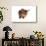 Abyssinian Cat-Fabio Petroni-Stretched Canvas displayed on a wall