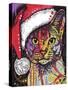 Abyssinian Christmas Edition-Dean Russo-Stretched Canvas