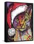 Abyssinian Christmas Edition-Dean Russo-Framed Stretched Canvas