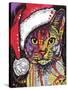 Abyssinian Christmas Edition-Dean Russo-Stretched Canvas