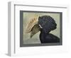 Abyssinian Crested Hornbill-null-Framed Giclee Print