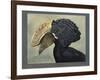 Abyssinian Crested Hornbill-null-Framed Giclee Print