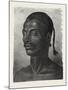 Abyssinian. Egypt, 1879-null-Mounted Giclee Print