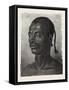 Abyssinian. Egypt, 1879-null-Framed Stretched Canvas
