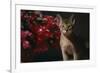 Abyssinian Ruddy Cat next to Plant-DLILLC-Framed Photographic Print