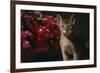 Abyssinian Ruddy Cat next to Plant-DLILLC-Framed Photographic Print