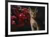 Abyssinian Ruddy Cat next to Plant-DLILLC-Framed Photographic Print