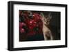 Abyssinian Ruddy Cat next to Plant-DLILLC-Framed Photographic Print