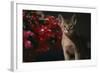 Abyssinian Ruddy Cat next to Plant-DLILLC-Framed Photographic Print