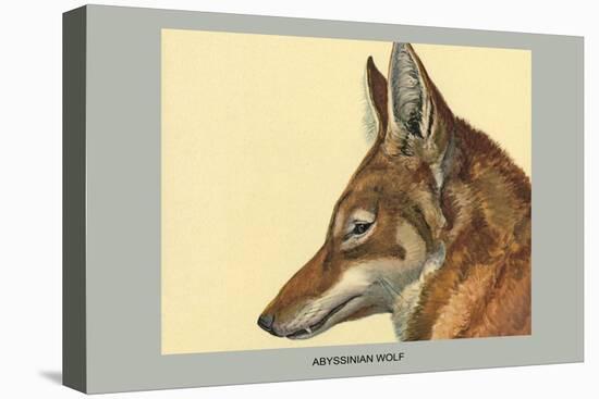 Abyssinian Wolf-Louis Agassiz Fuertes-Stretched Canvas