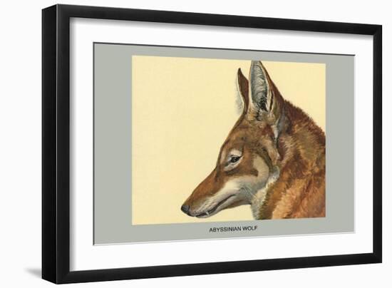 Abyssinian Wolf-Louis Agassiz Fuertes-Framed Art Print