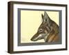 Abyssinian Wolf-null-Framed Giclee Print