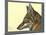 Abyssinian Wolf-null-Mounted Giclee Print