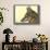 Abyssinian Wolf-null-Giclee Print displayed on a wall