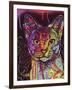 Abyssinian-Dean Russo-Framed Premium Giclee Print