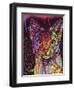 Abyssinian-Dean Russo-Framed Giclee Print