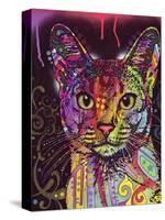 Abyssinian-Dean Russo-Stretched Canvas