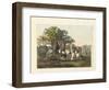 Abyssinians Resting During their Trip-null-Framed Giclee Print