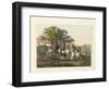 Abyssinians Resting During their Trip-null-Framed Giclee Print