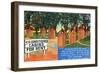 AC Cabins for Rent, View of Outhouses-Lantern Press-Framed Art Print