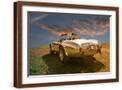 Brown Frame