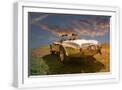 White Frame