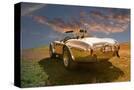 Stretched Canvas