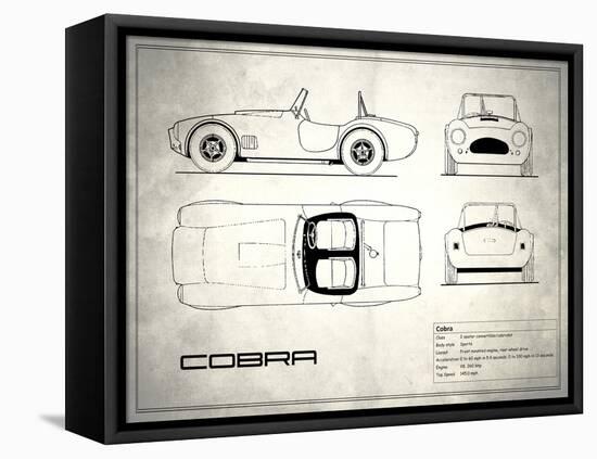 AC Cobra White-Mark Rogan-Framed Stretched Canvas