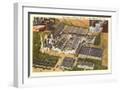 White Frame