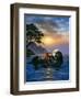 AC2033-Casay Anthony-Framed Giclee Print