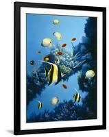 AC2045-Casay Anthony-Framed Giclee Print