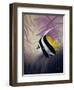 AC2046-Casay Anthony-Framed Premium Giclee Print