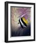 AC2046-Casay Anthony-Framed Premium Giclee Print