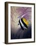 AC2046-Casay Anthony-Framed Giclee Print