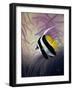 AC2046-Casay Anthony-Framed Giclee Print