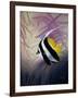 AC2046-Casay Anthony-Framed Giclee Print