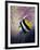 AC2046-Casay Anthony-Framed Giclee Print