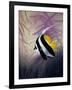 AC2046-Casay Anthony-Framed Giclee Print