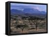 Acacia and Distant Massif North of Mt Kenya, Samburu National Reserve, Kenya-Paul Souders-Framed Stretched Canvas