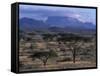 Acacia and Distant Massif North of Mt Kenya, Samburu National Reserve, Kenya-Paul Souders-Framed Stretched Canvas