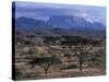 Acacia and Distant Massif North of Mt Kenya, Samburu National Reserve, Kenya-Paul Souders-Stretched Canvas