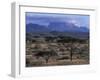 Acacia and Distant Massif North of Mt Kenya, Samburu National Reserve, Kenya-Paul Souders-Framed Photographic Print