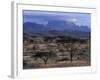 Acacia and Distant Massif North of Mt Kenya, Samburu National Reserve, Kenya-Paul Souders-Framed Photographic Print
