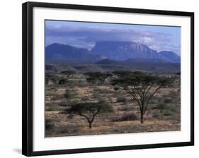 Acacia and Distant Massif North of Mt Kenya, Samburu National Reserve, Kenya-Paul Souders-Framed Photographic Print