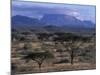 Acacia and Distant Massif North of Mt Kenya, Samburu National Reserve, Kenya-Paul Souders-Mounted Photographic Print
