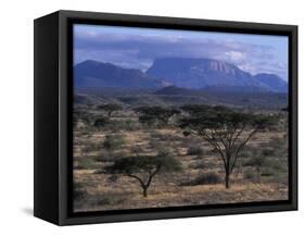 Acacia and Distant Massif North of Mt Kenya, Samburu National Reserve, Kenya-Paul Souders-Framed Stretched Canvas