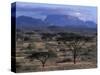 Acacia and Distant Massif North of Mt Kenya, Samburu National Reserve, Kenya-Paul Souders-Stretched Canvas